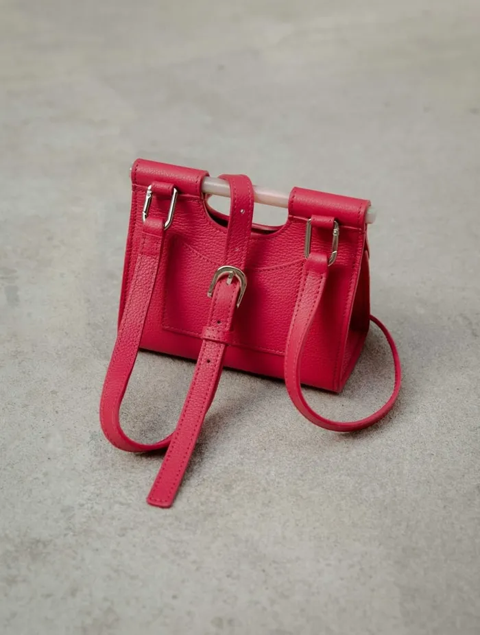 Ancne Micro Electric Pink Women Bobbies Bags