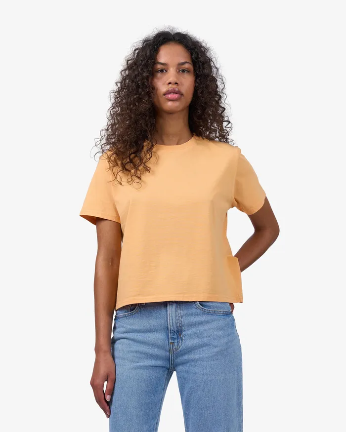 Colorfulstandard Organic Boxy Crop Tee 8211 Lava Grey Women TShirts