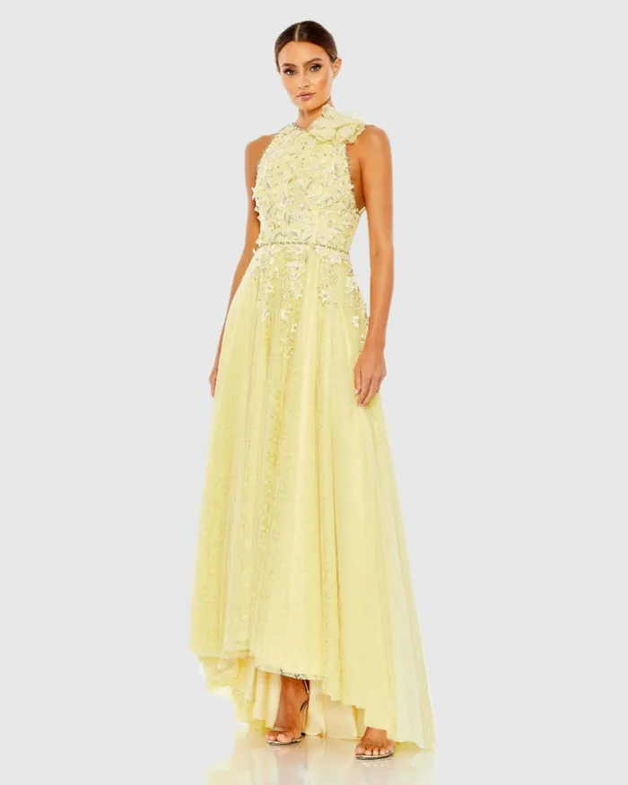 Evening Gowns Embellished High Neck Sleeveless A Line Gown Lemon Mac Duggal Women
