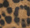 Kenneth Cole Flats and Loafers Women Nolita Leopard Suede Ankle Strap Mary Jane Flat Brown