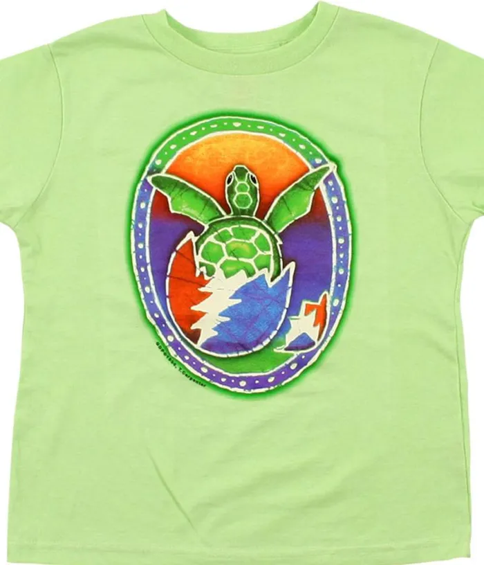 Liquid Blue Youth Kids Steal Your Turtle Green TShirt