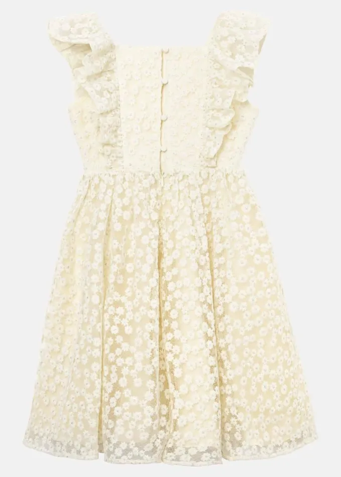 Phase Eight Daisy Smock Dress Yellow Women Dresses