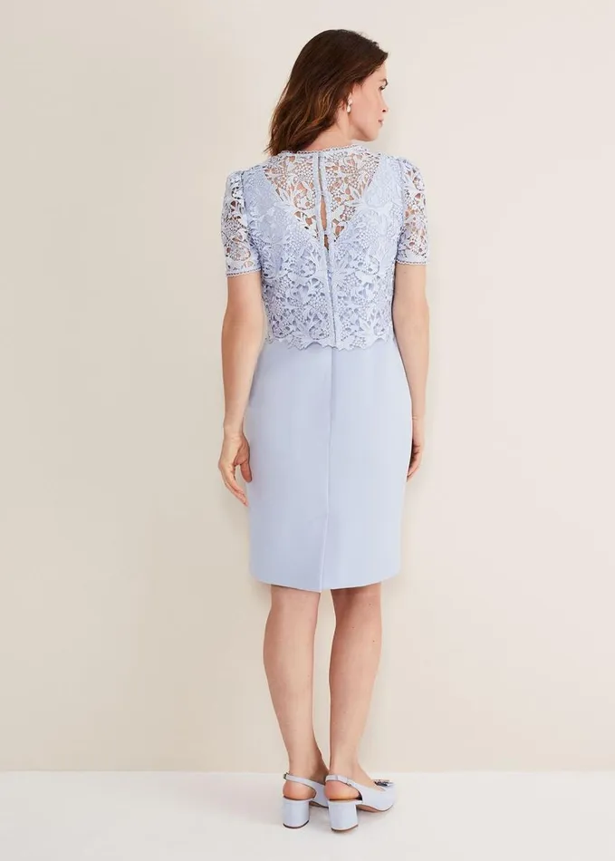 Phase Eight Isabella Lace Midi Dress Light Cornflower Women Dresses