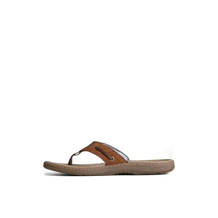 Sandals Men Sperry Baitfish Leather Flip Flop Brown Leather Mixed Material