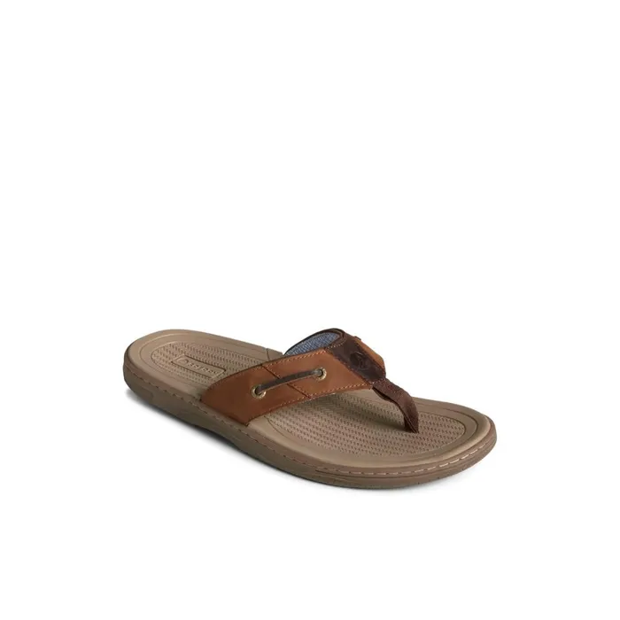 Sandals Men Sperry Baitfish Leather Flip Flop Brown Leather Mixed Material
