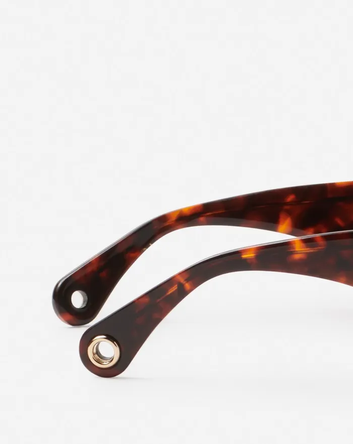 Signature Sunglasses Havana Women Lanvin Sunglasses