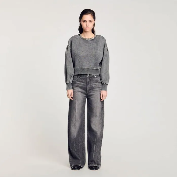 Sweaters and Cardigans Women SANDRO Jewellery Neck Sweatshirt Grey