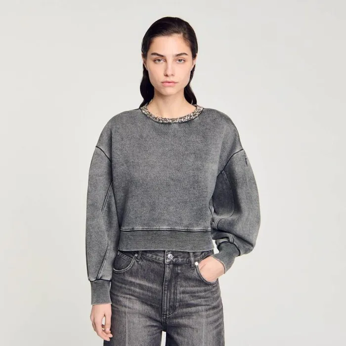 Sweaters and Cardigans Women SANDRO Jewellery Neck Sweatshirt Grey