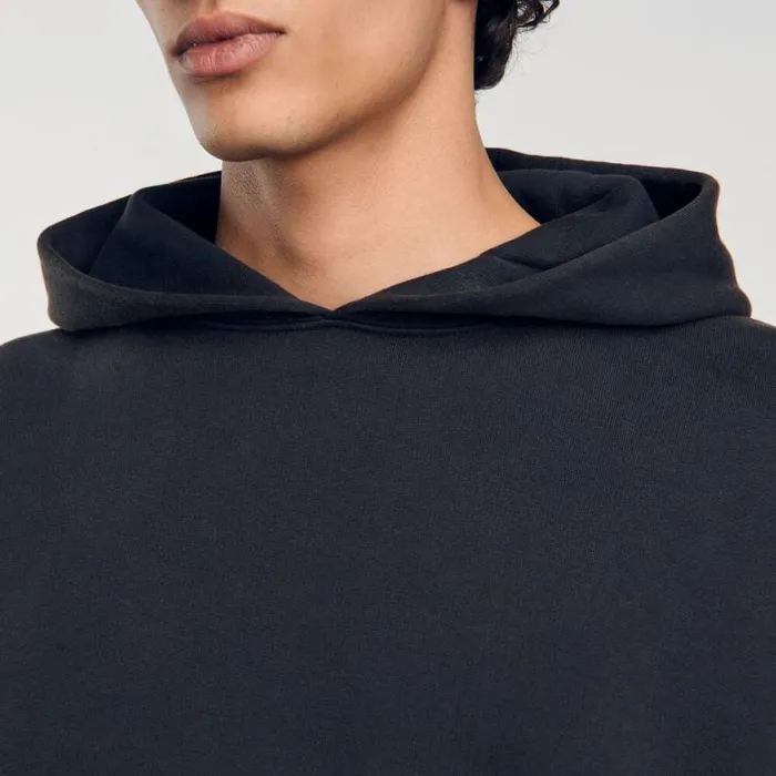 Sweatshirts and Hoodies Men SANDRO Hoodie Grey