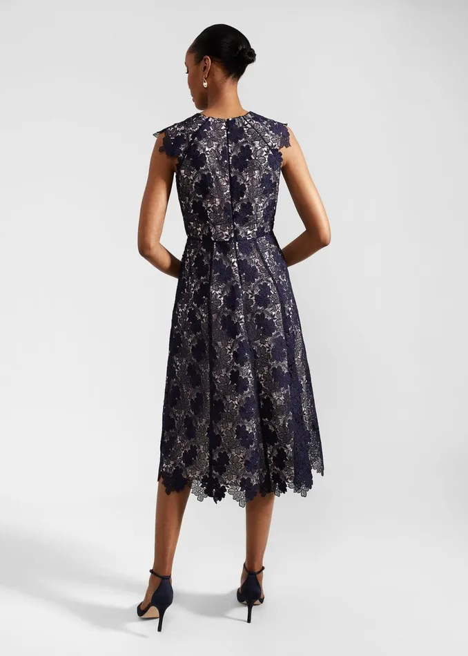 Women Dresses and Jumpsuits Hobbs Hannah Lace Dress Navy Pale Pink