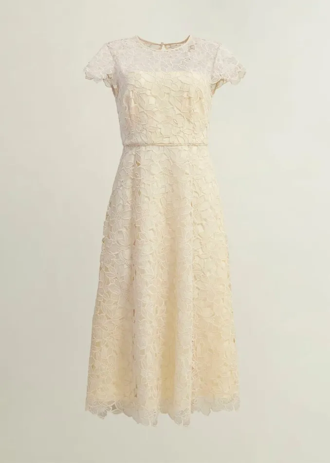Women Dresses and Jumpsuits Hobbs Johanna Lace Dress Oyster