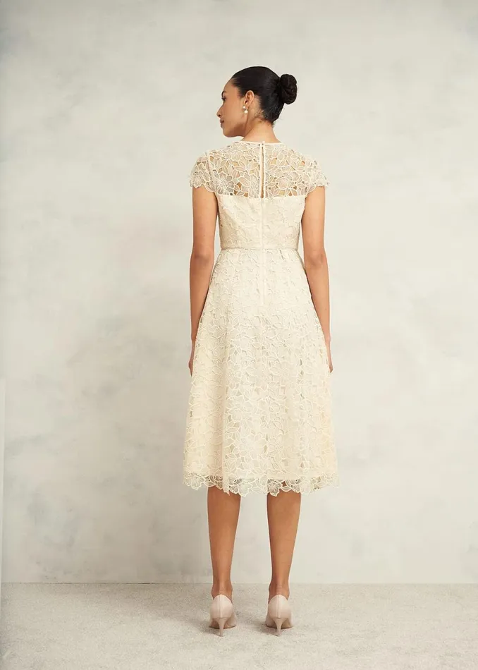 Women Dresses and Jumpsuits Hobbs Johanna Lace Dress Oyster