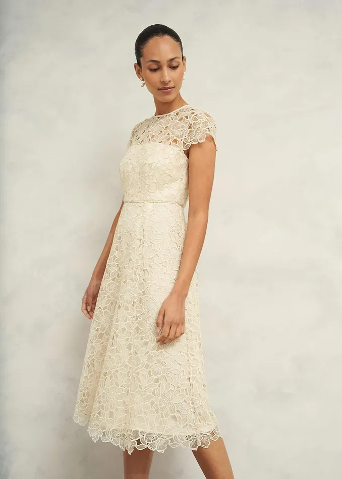 Women Dresses and Jumpsuits Hobbs Johanna Lace Dress Oyster