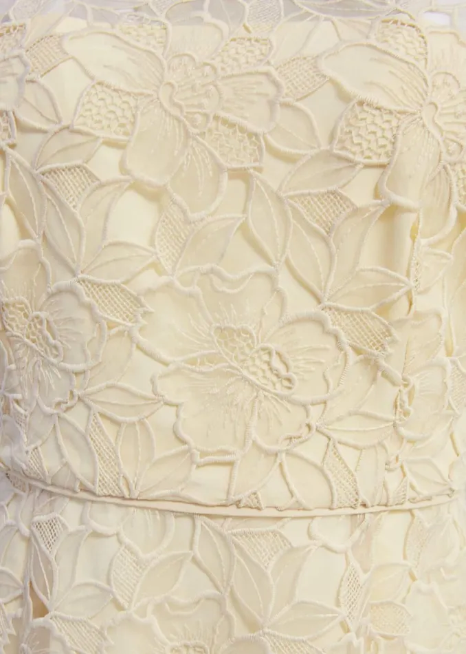 Women Dresses and Jumpsuits Hobbs Johanna Lace Dress Oyster