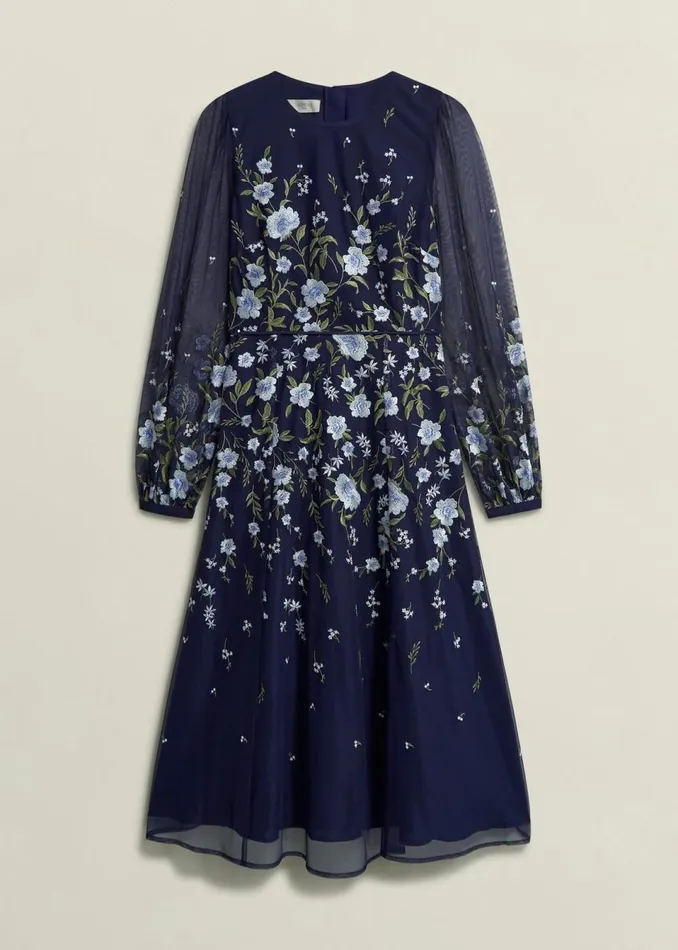 Women Dresses and Jumpsuits Hobbs Lois Embroidered Dress Midnight Multi