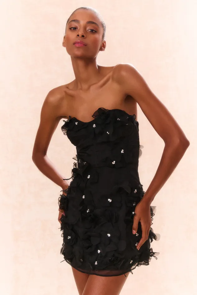 Women Dresses LoveShackFancy Sabila Organza Mini Dress Black