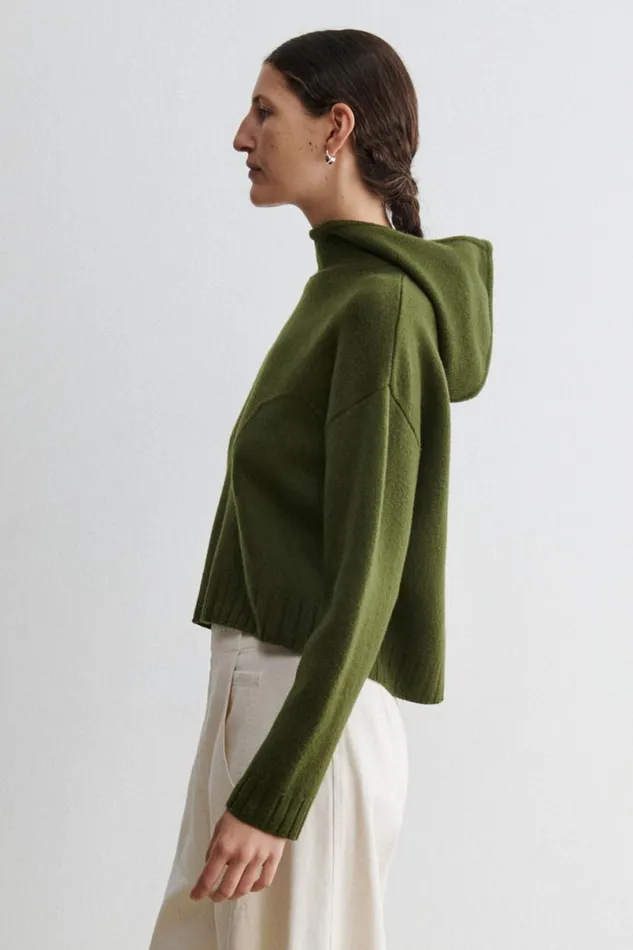 Women Knits Rachel Comey Alps Hoodie Forest
