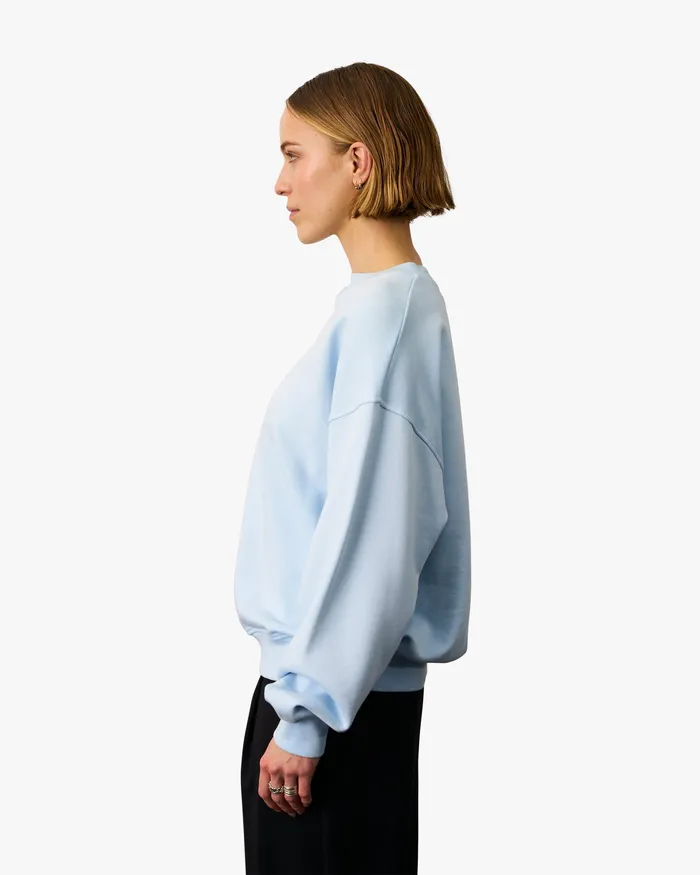 Women Organic Oversized Crew 8211 Cedar Brown Crewneck Sweatshirts Colorfulstandard