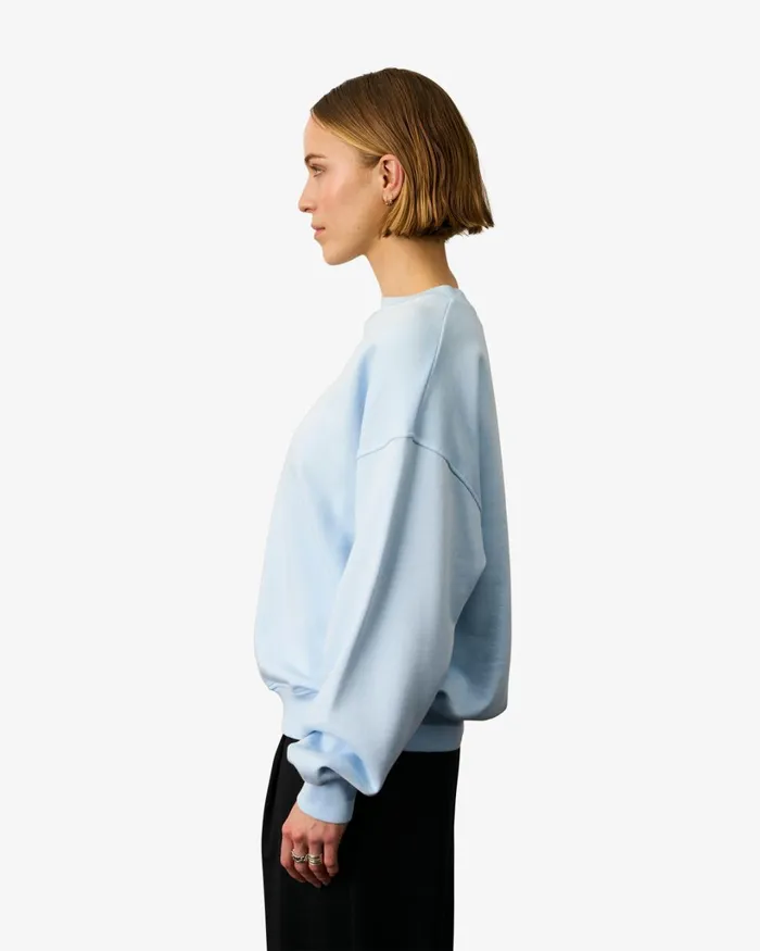 Women Organic Oversized Crew Cedar Brown Colorful Standard Crewneck Sweatshirts