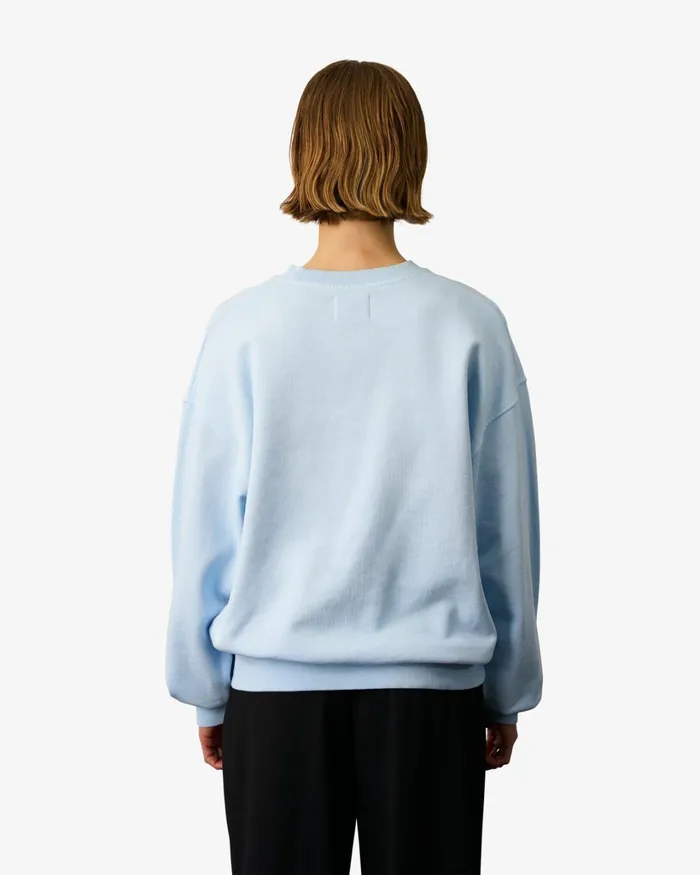 Women Organic Oversized Crew Cedar Brown Colorful Standard Crewneck Sweatshirts
